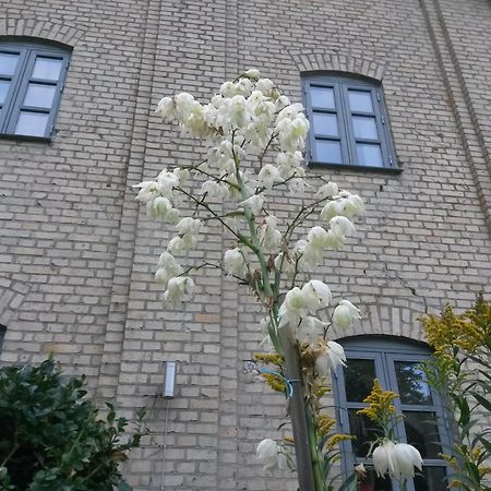 Skelstrupgaard Apartments Maribo Luaran gambar