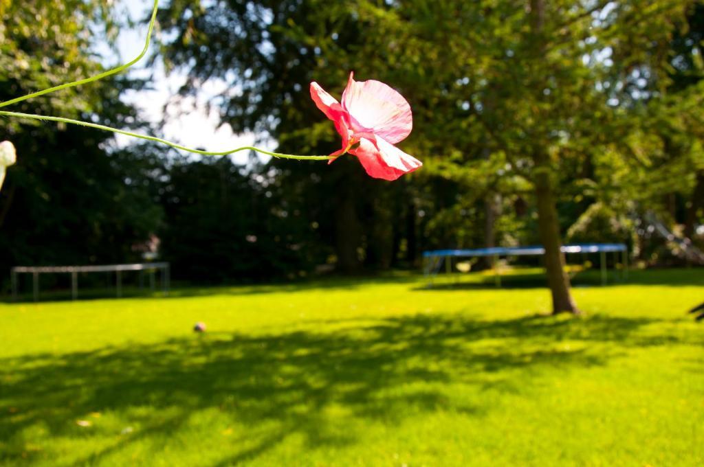 Skelstrupgaard Apartments Maribo Luaran gambar